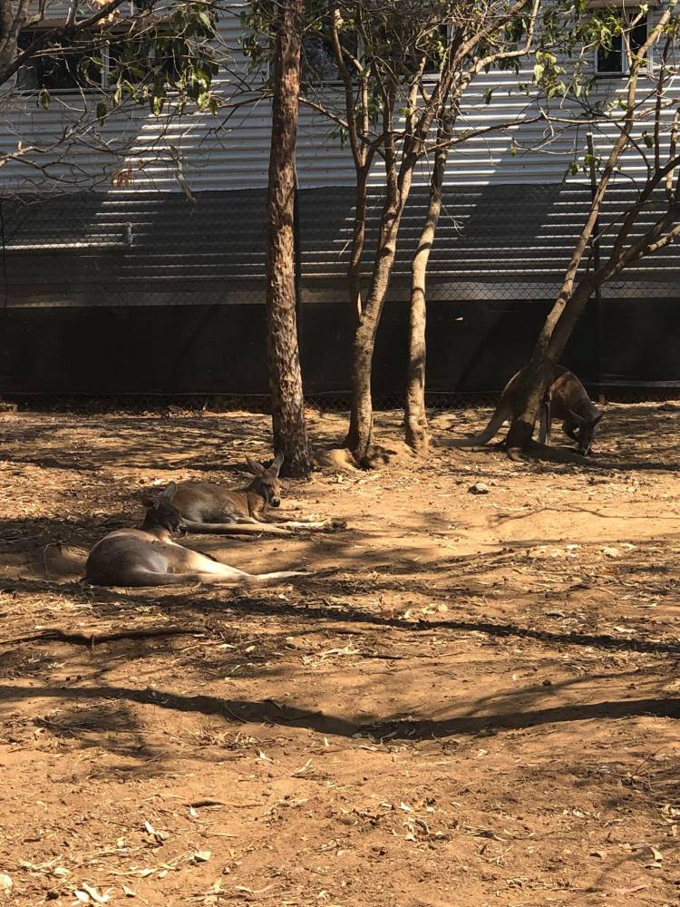 73472602_10220628608451086_929071386847084544_o