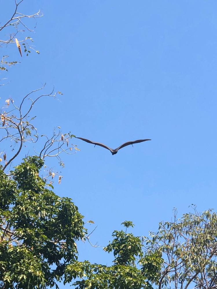 73504640_10220628608811095_6811567472869638144_o